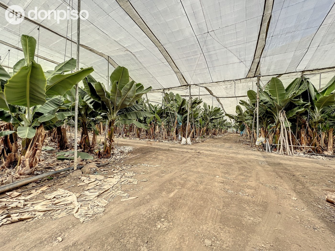 Pisos-Venta-Arucas-717210-Foto-22