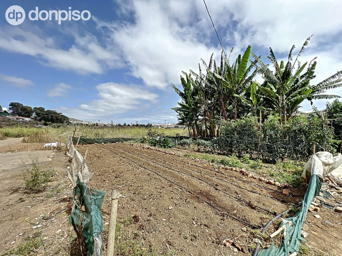 Pisos-Venta-Arucas-717210-Foto-34
