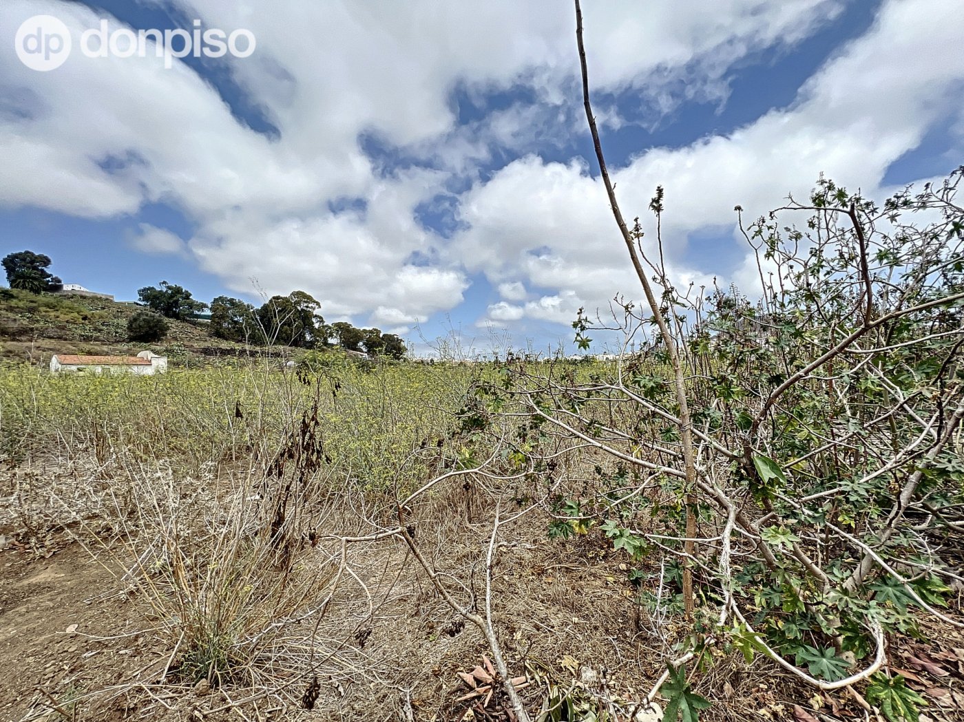 Pisos-Venta-Arucas-717210-Foto-41