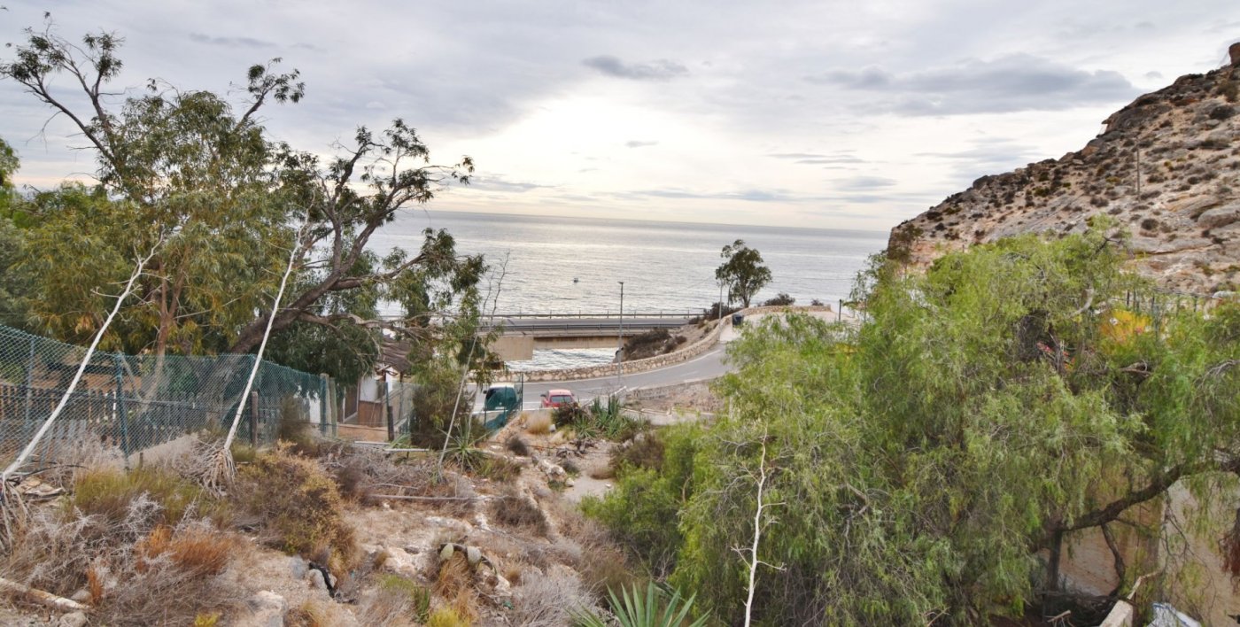 Negocios-Venta-AlmerÃ­a-1070322-Foto-10