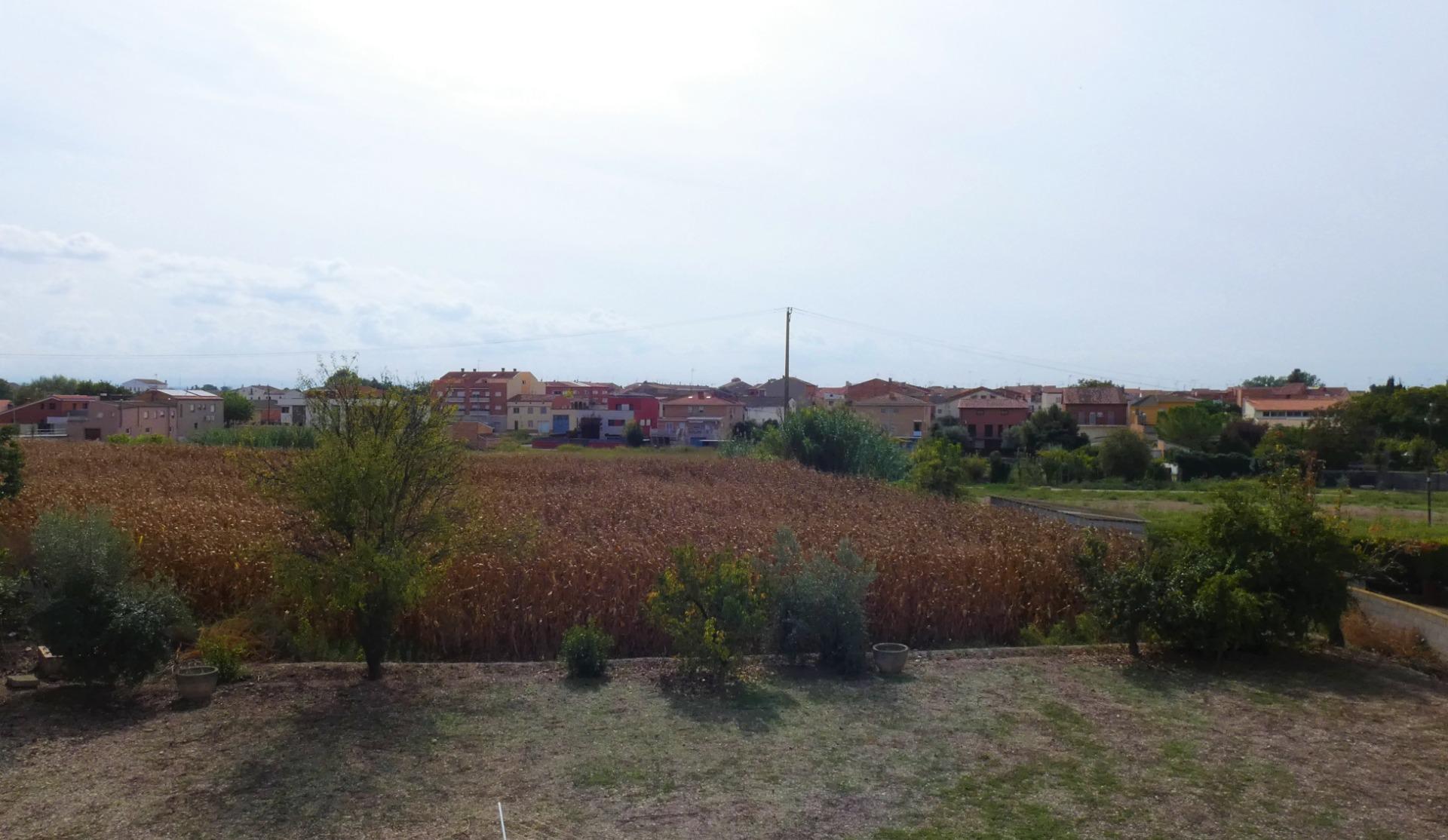 Casas o chalets-Venta-Ivars d