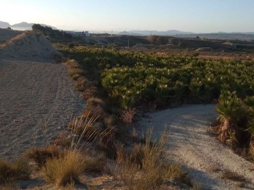 Fincas y solares-Venta-Fortuna-818787-Foto-6