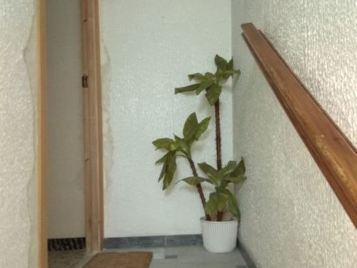 Pisos-Venta-Orihuela-818788-Foto-13