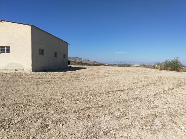 Fincas y solares-Venta-Orihuela-873452-Foto-2