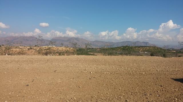 Fincas y solares-Venta-Orihuela-873452-Foto-4