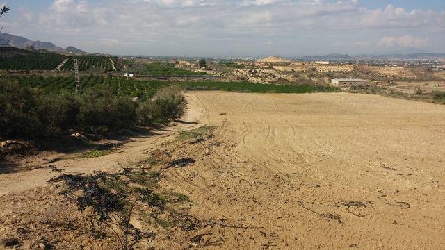 Fincas y solares-Venta-Orihuela-873452-Foto-5