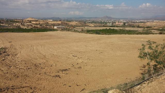 Fincas y solares-Venta-Orihuela-873452-Foto-6