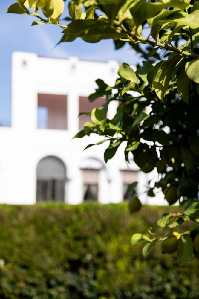 Casas o chalets-Venta-CÃ³rdoba-1036395-Foto-67