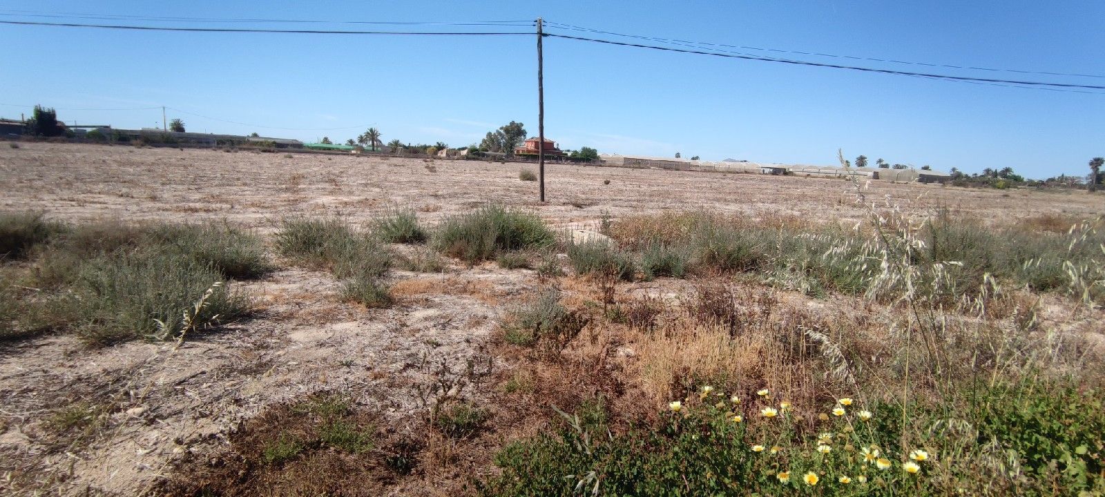 Fincas y solares-Venta-Elche-1044967
