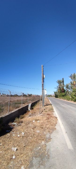 Fincas y solares-Venta-Elche-1044967-Foto-13
