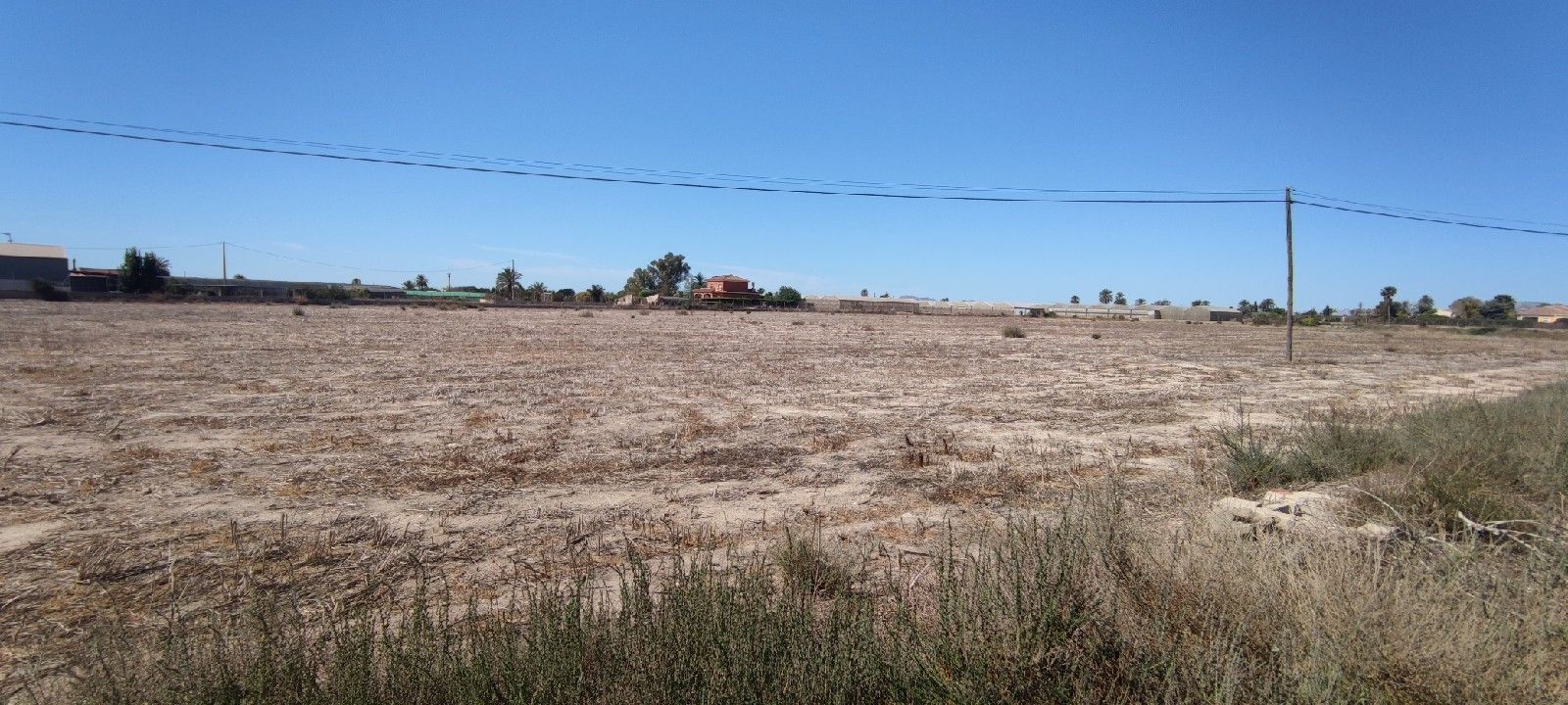 Fincas y solares-Venta-Elche-1044967-Foto-12
