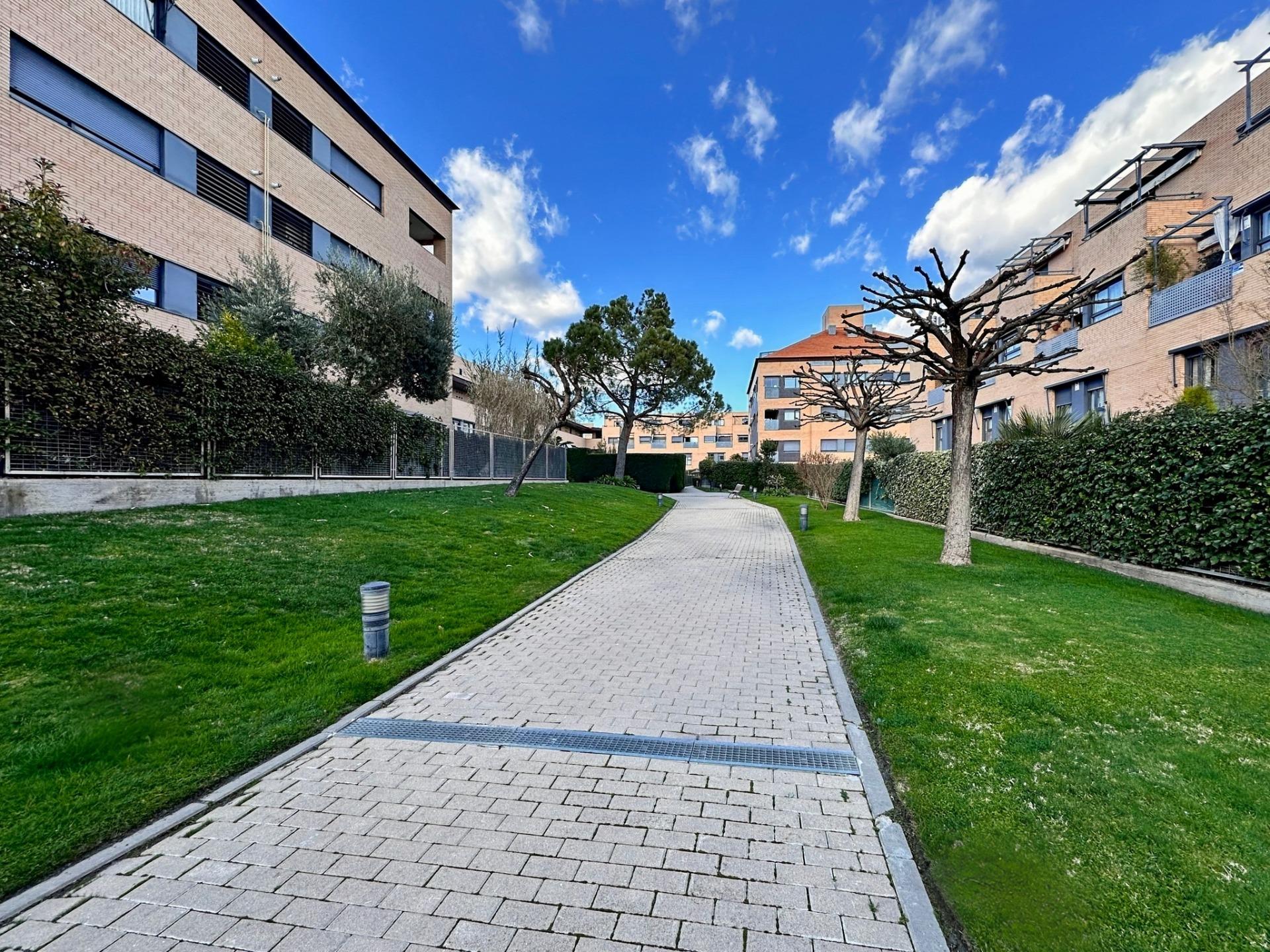Pisos-Alquiler-Boadilla del Monte-1054333-Foto-35