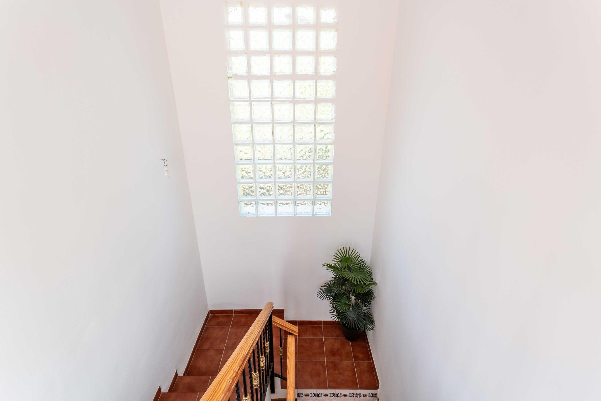 Casas o chalets-Venta-Alberic-1070426-Foto-33