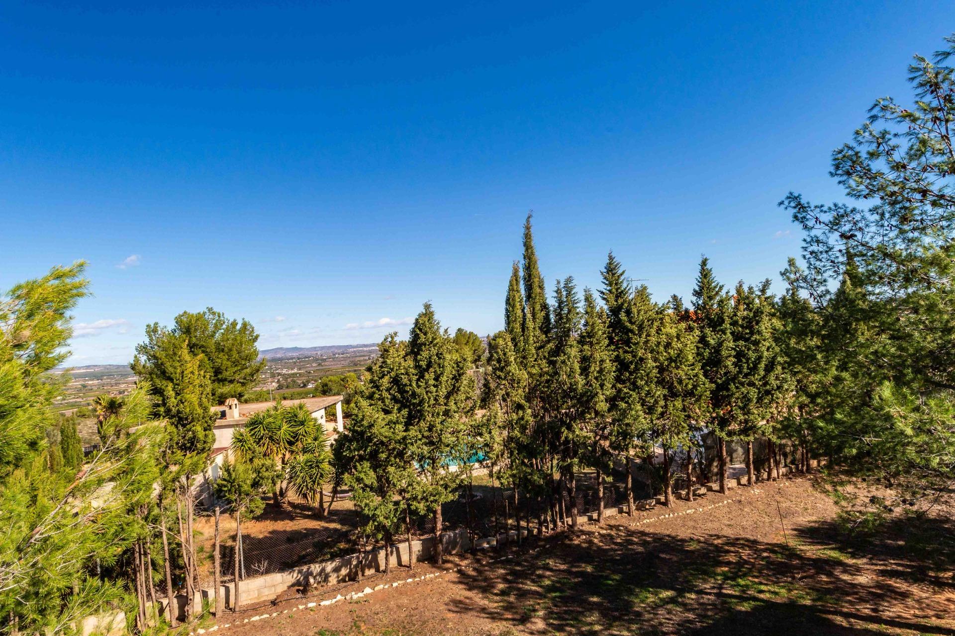 Casas o chalets-Venta-Alberic-1070426-Foto-47