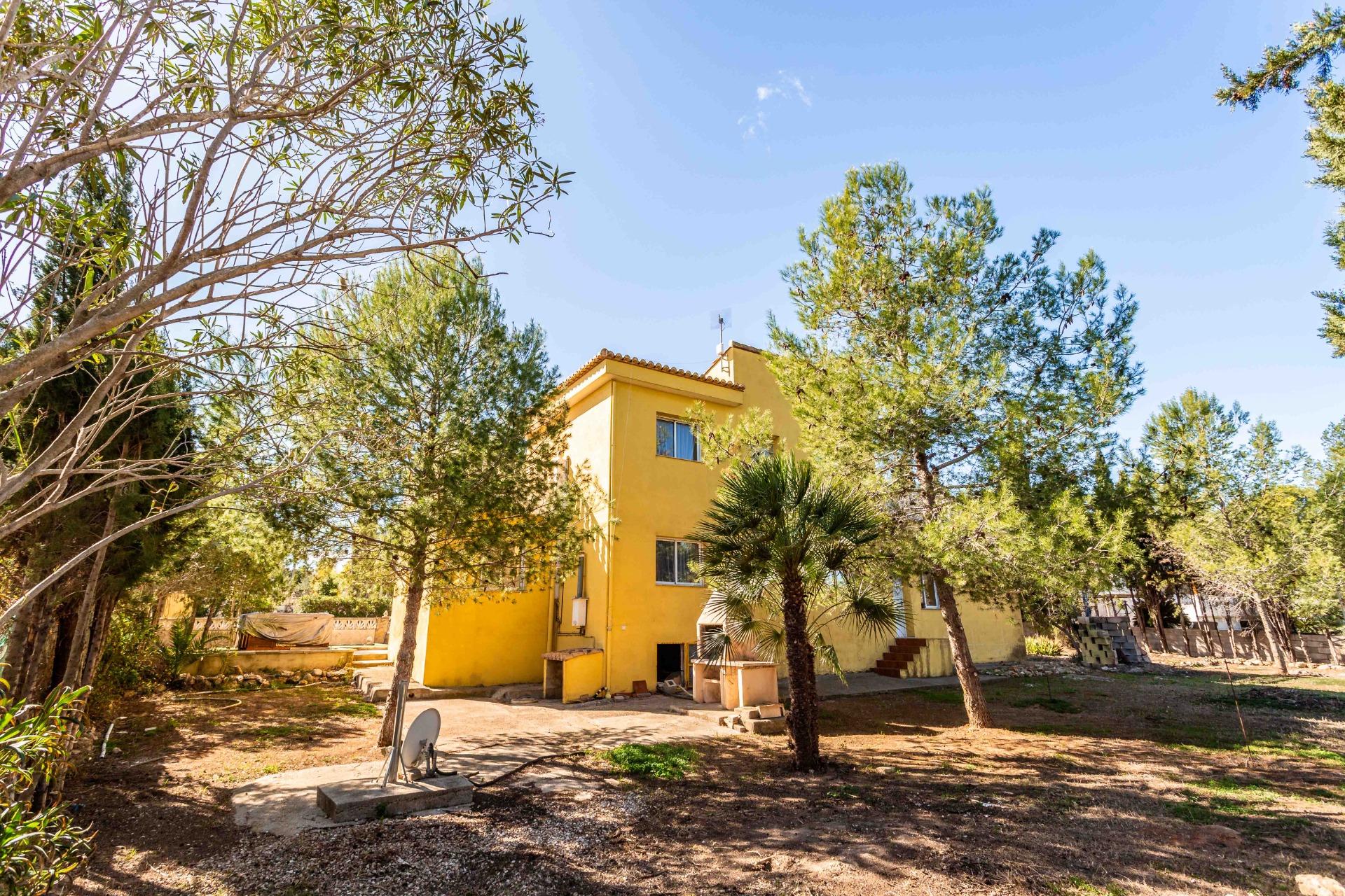 Casas o chalets-Venta-Alberic-1070426-Foto-60