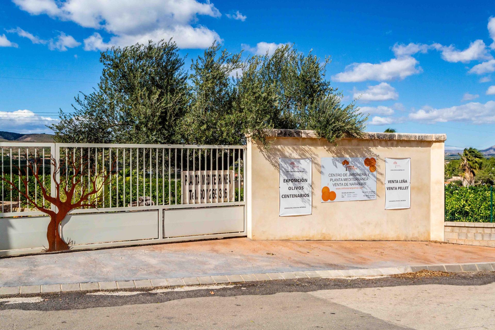 Casas o chalets-Venta-Alberic-1070426-Foto-64