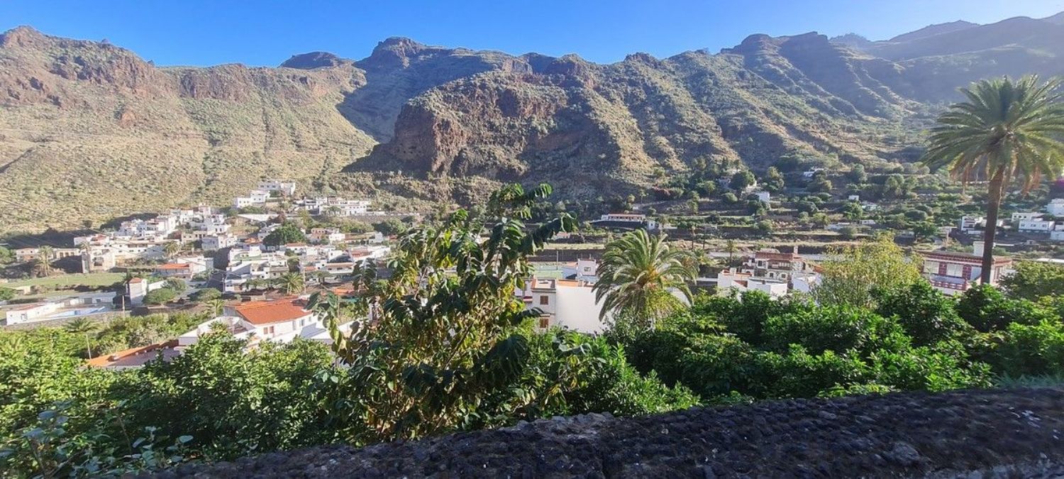Pisos-Venta-Agaete-1063420-Foto-14