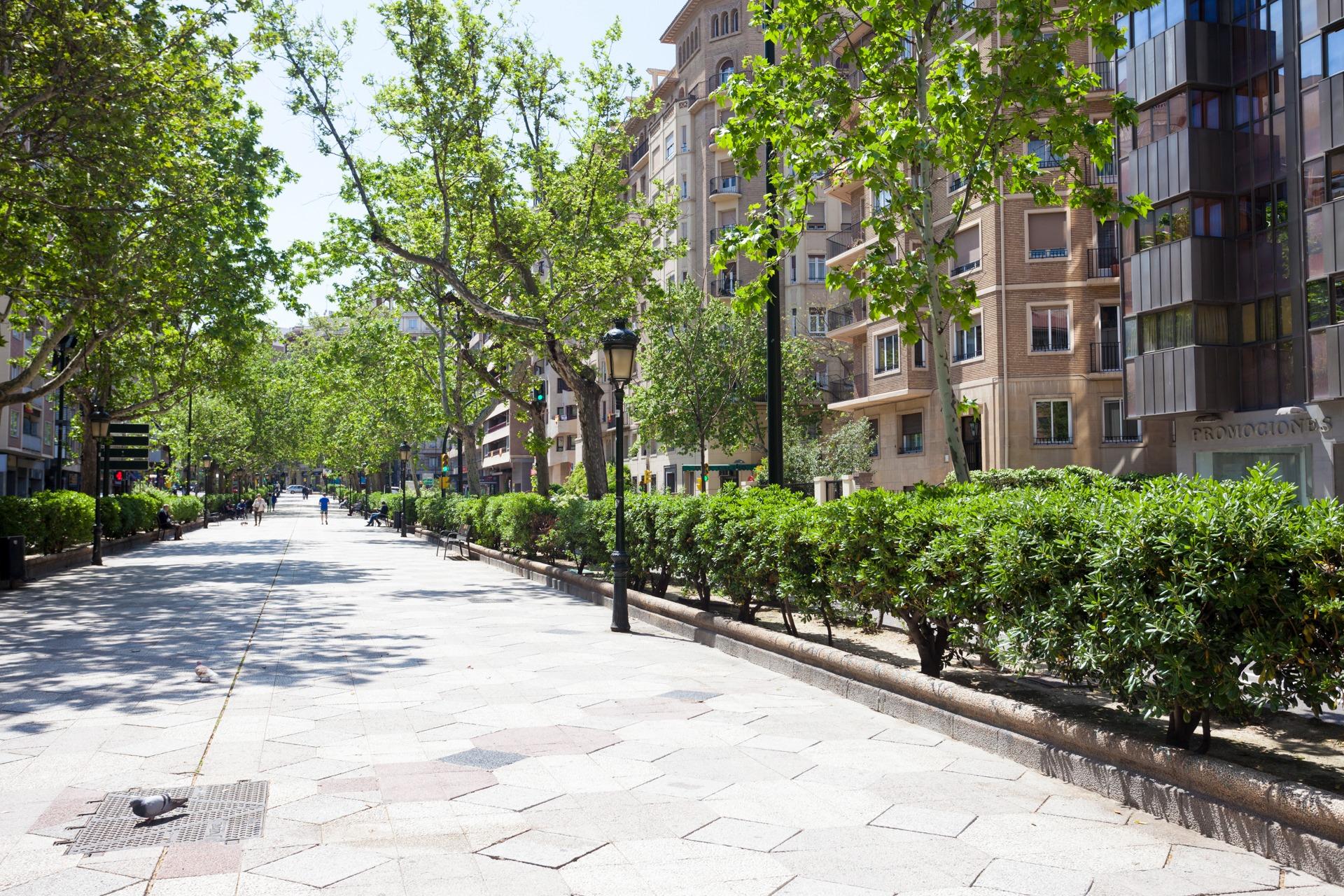Pisos-Venta-Zaragoza-1089334-Foto-38