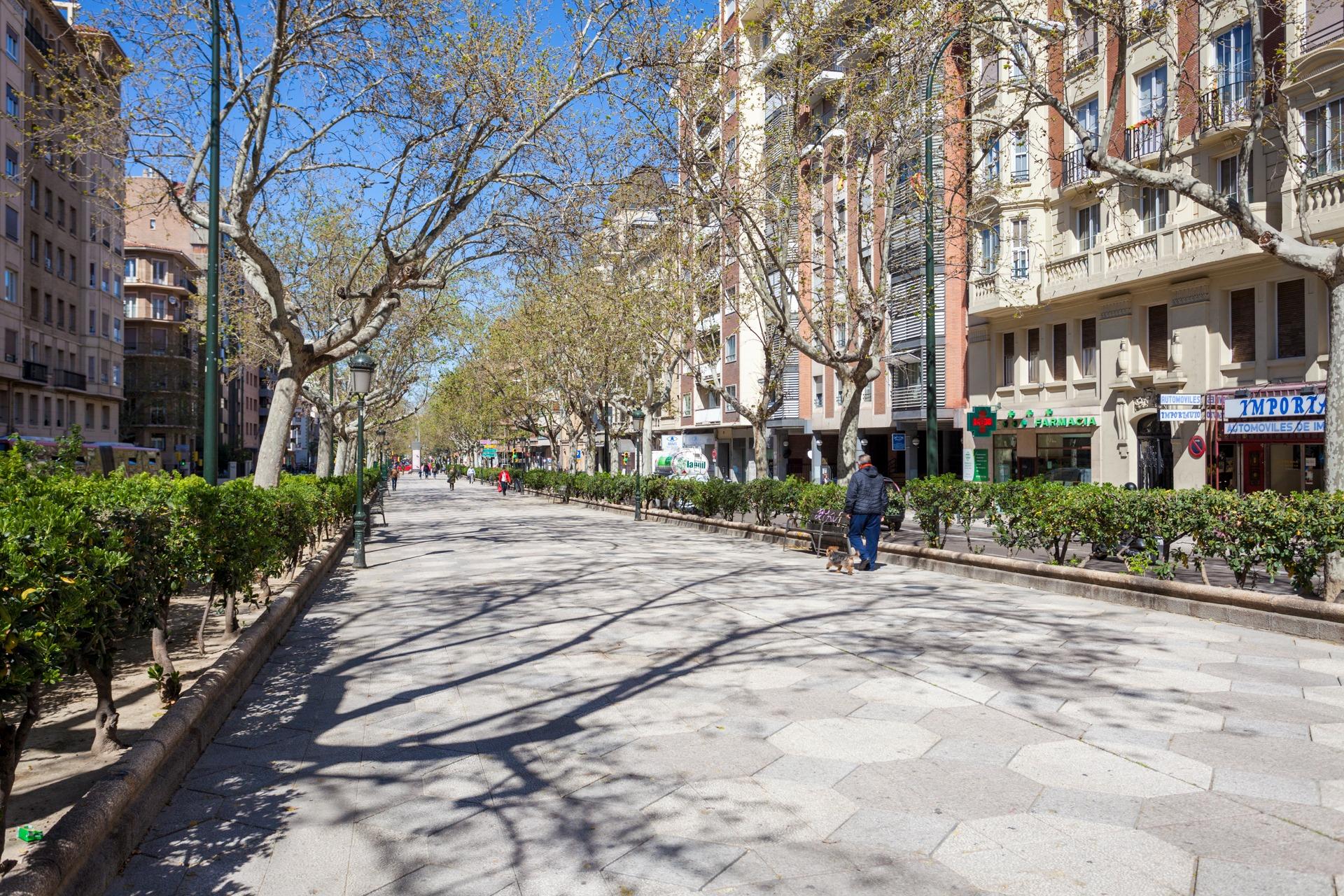 Pisos-Venta-Zaragoza-1089334-Foto-40