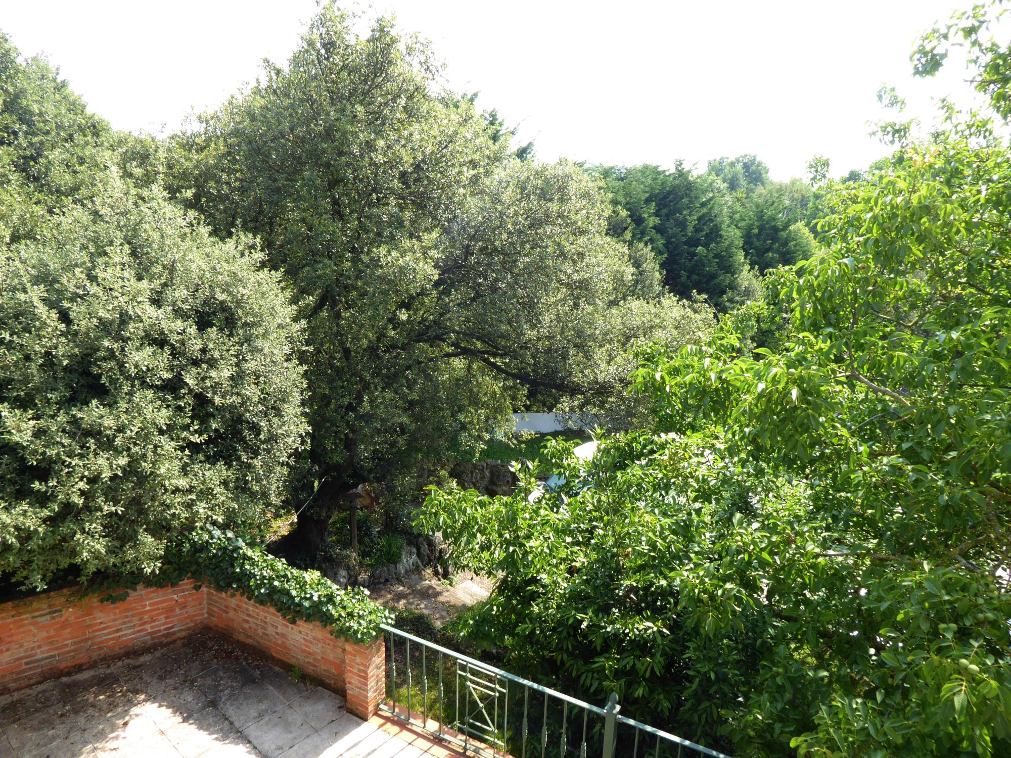 Casas o chalets-Venta-Santa Cruz de Bezana-1092206-Foto-5