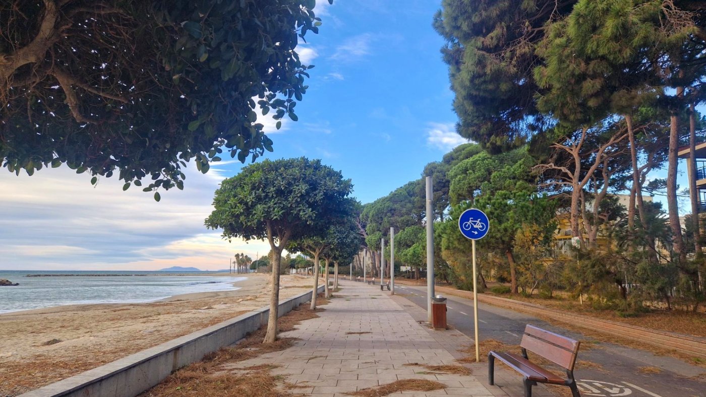 Negocios-Venta-Cambrils-775702-Foto-22