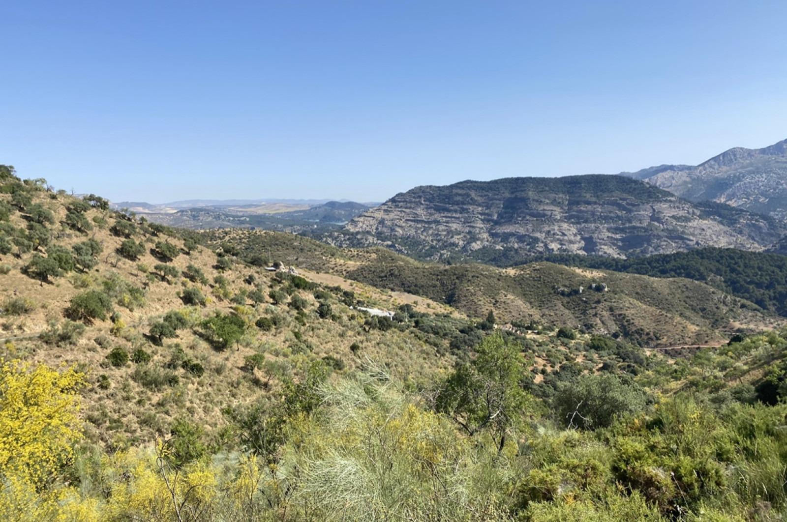 Fincas y solares-Venta-Ardales-1139214-Foto-6
