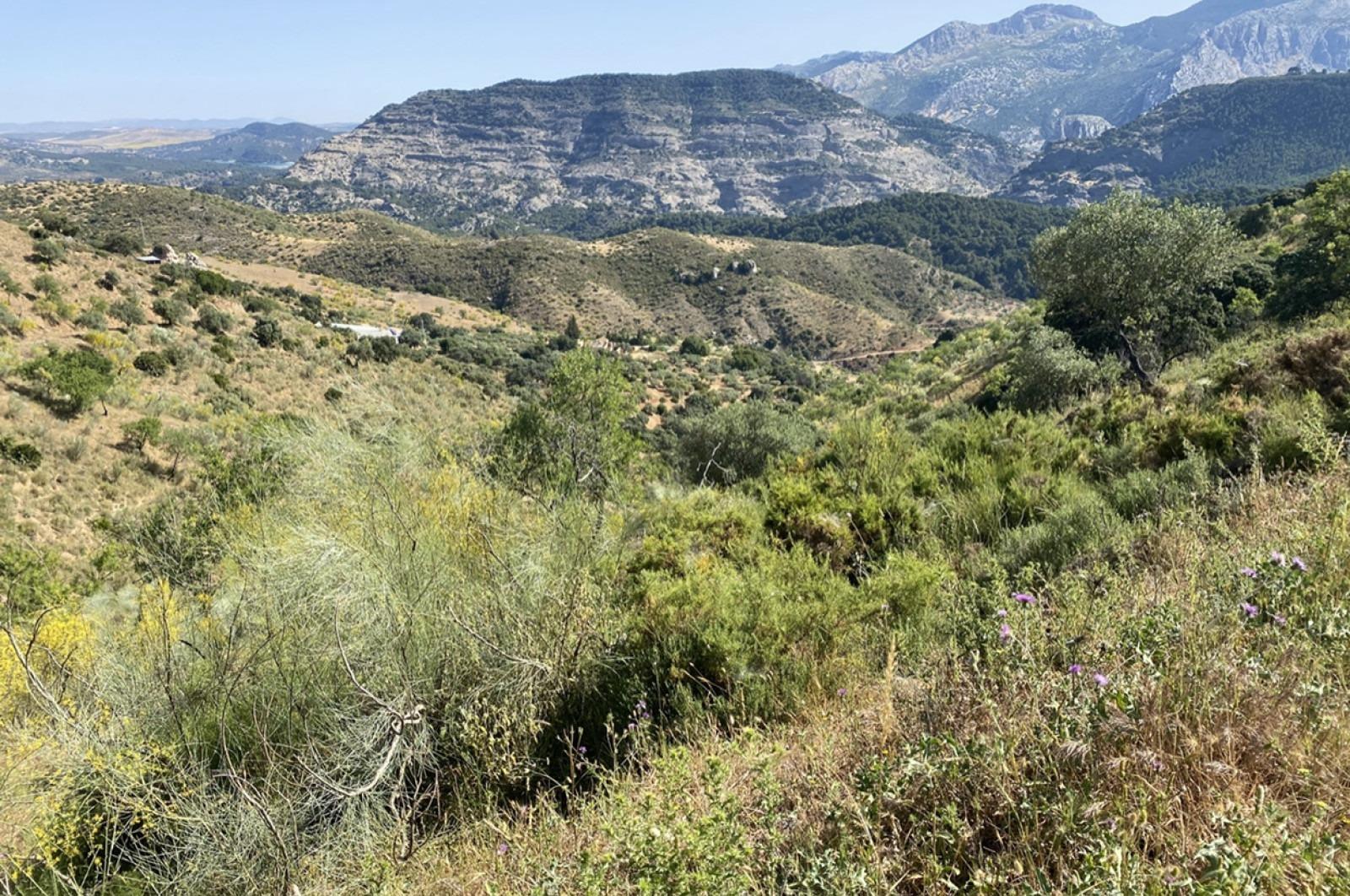Fincas y solares-Venta-Ardales-1139214-Foto-10
