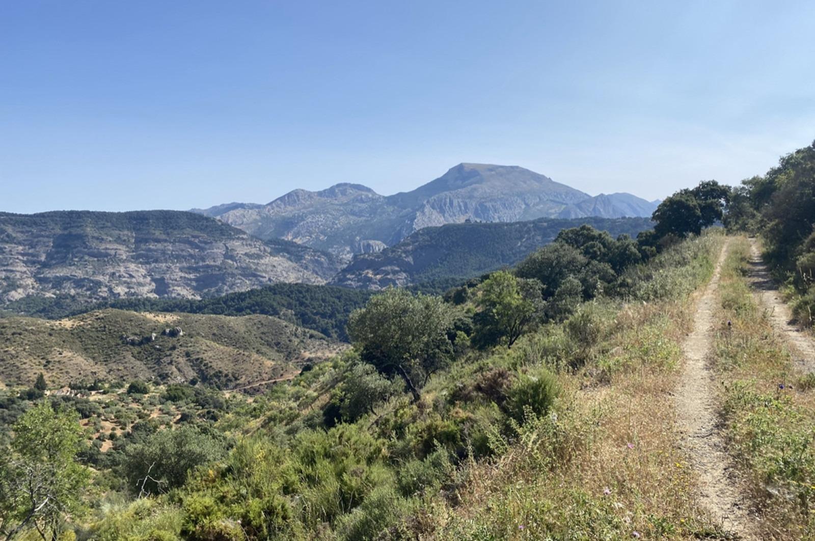 Fincas y solares-Venta-Ardales-1139214-Foto-4