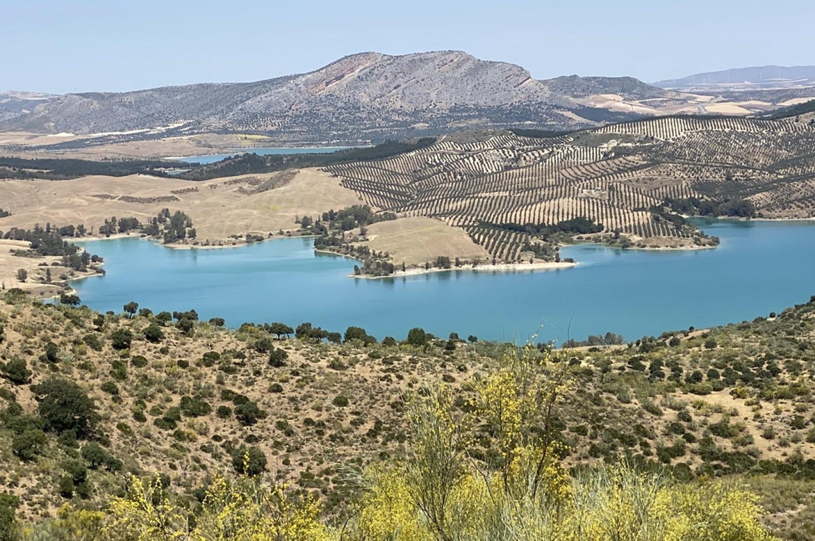 Fincas y solares-Venta-Ardales-1139214-Foto-2