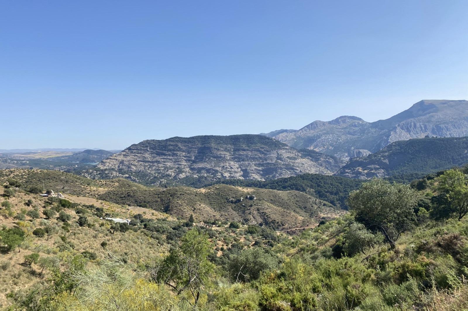 Fincas y solares-Venta-Ardales-1139214-Foto-11