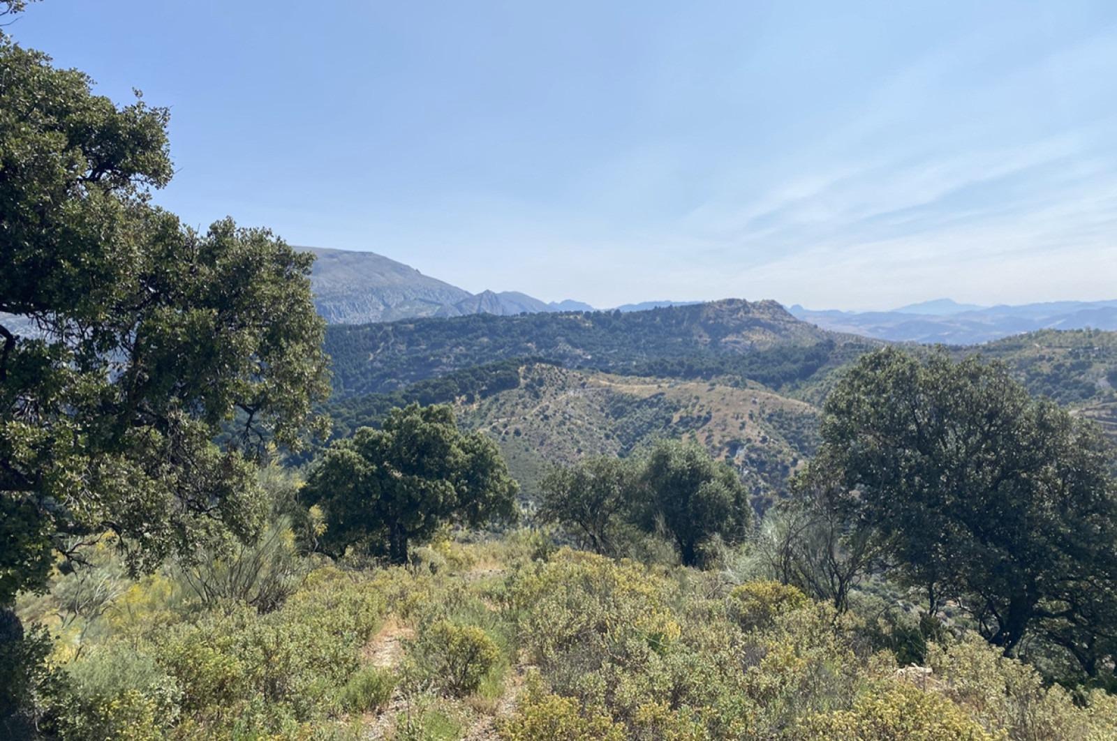 Fincas y solares-Venta-Ardales-1139214-Foto-22