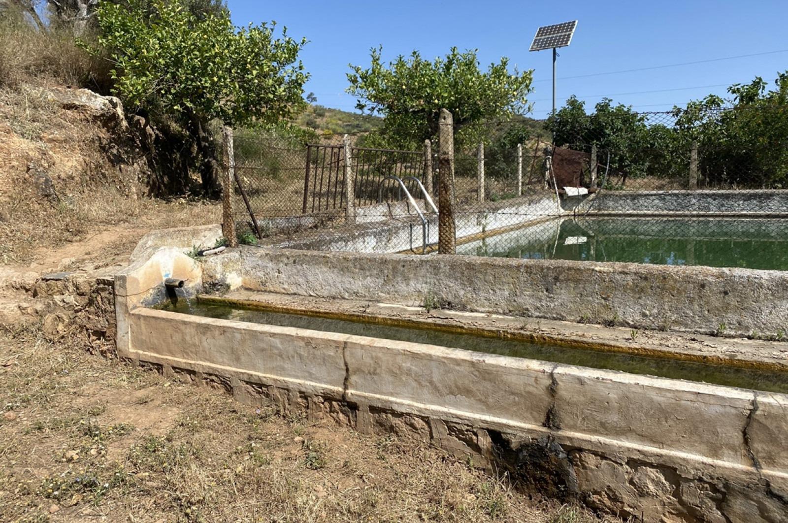 Fincas y solares-Venta-Ardales-1139214-Foto-26