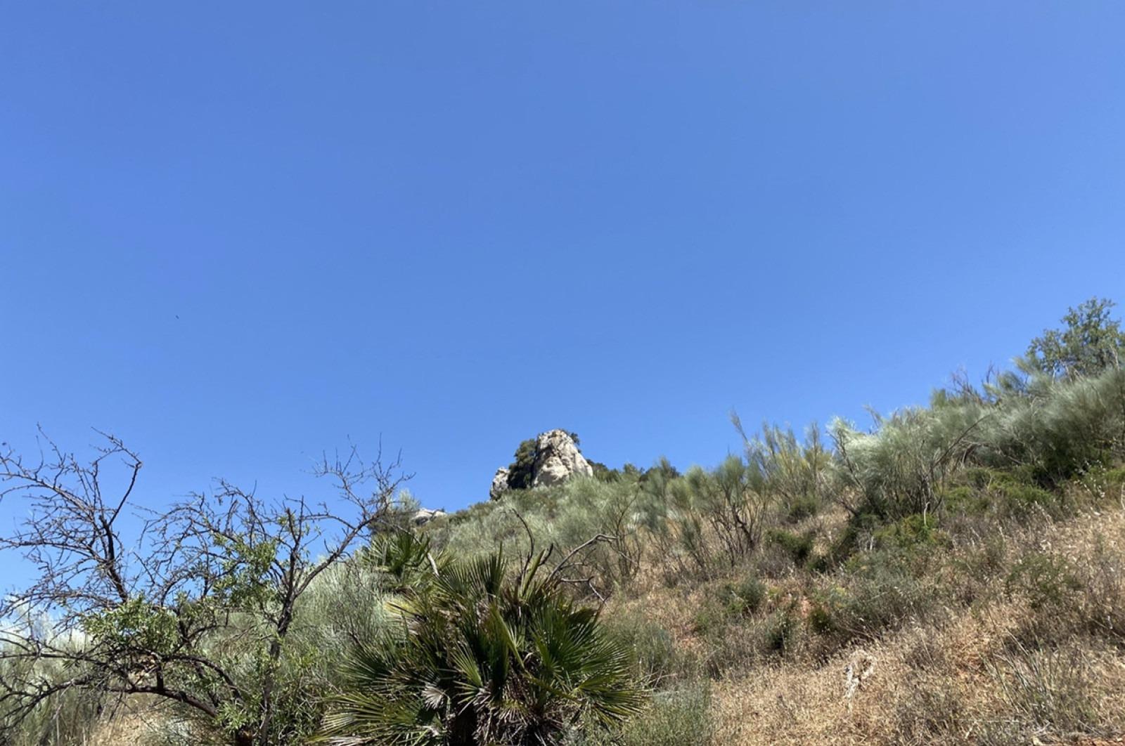 Fincas y solares-Venta-Ardales-1139214-Foto-33