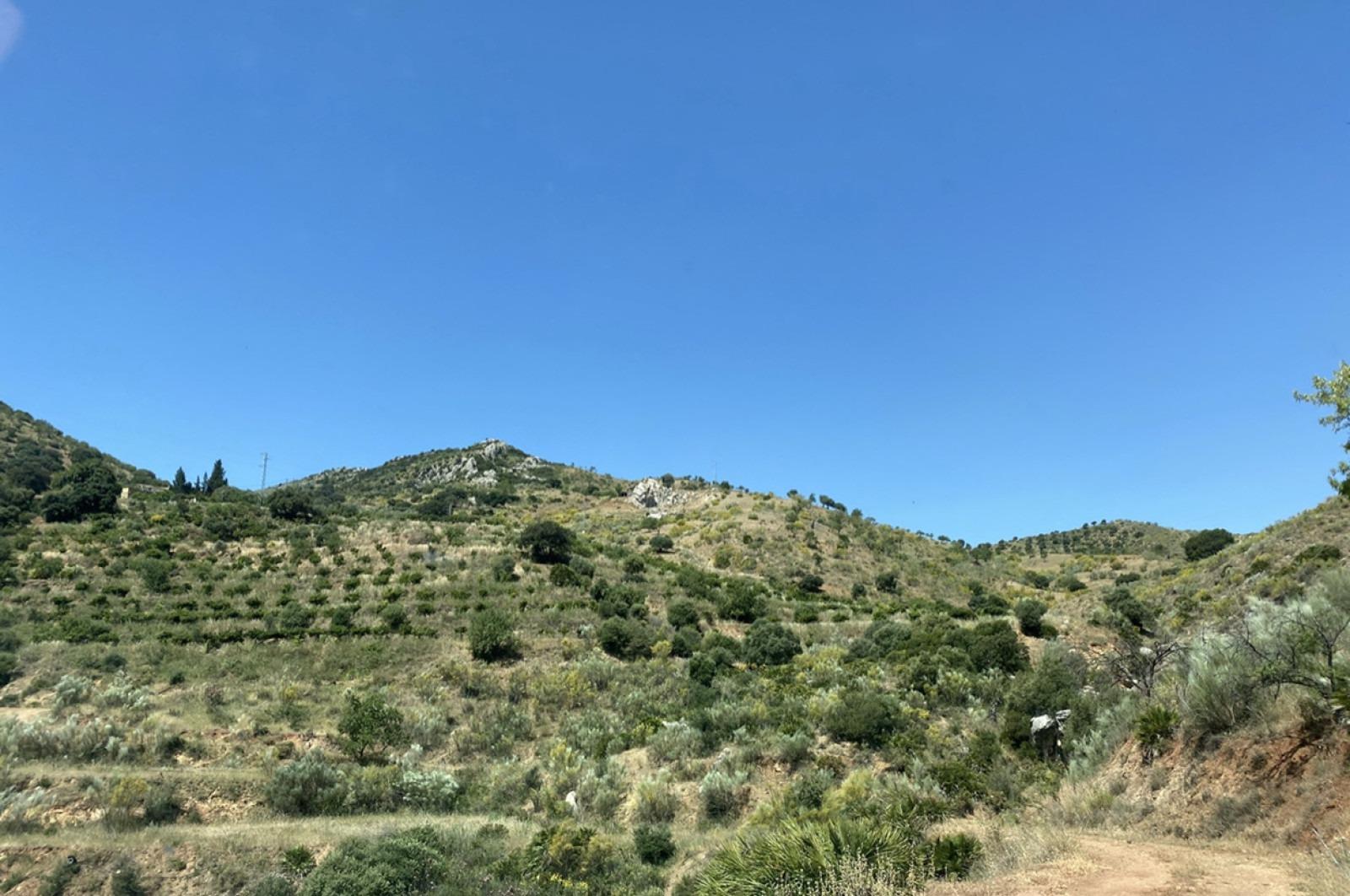 Fincas y solares-Venta-Ardales-1139214-Foto-32