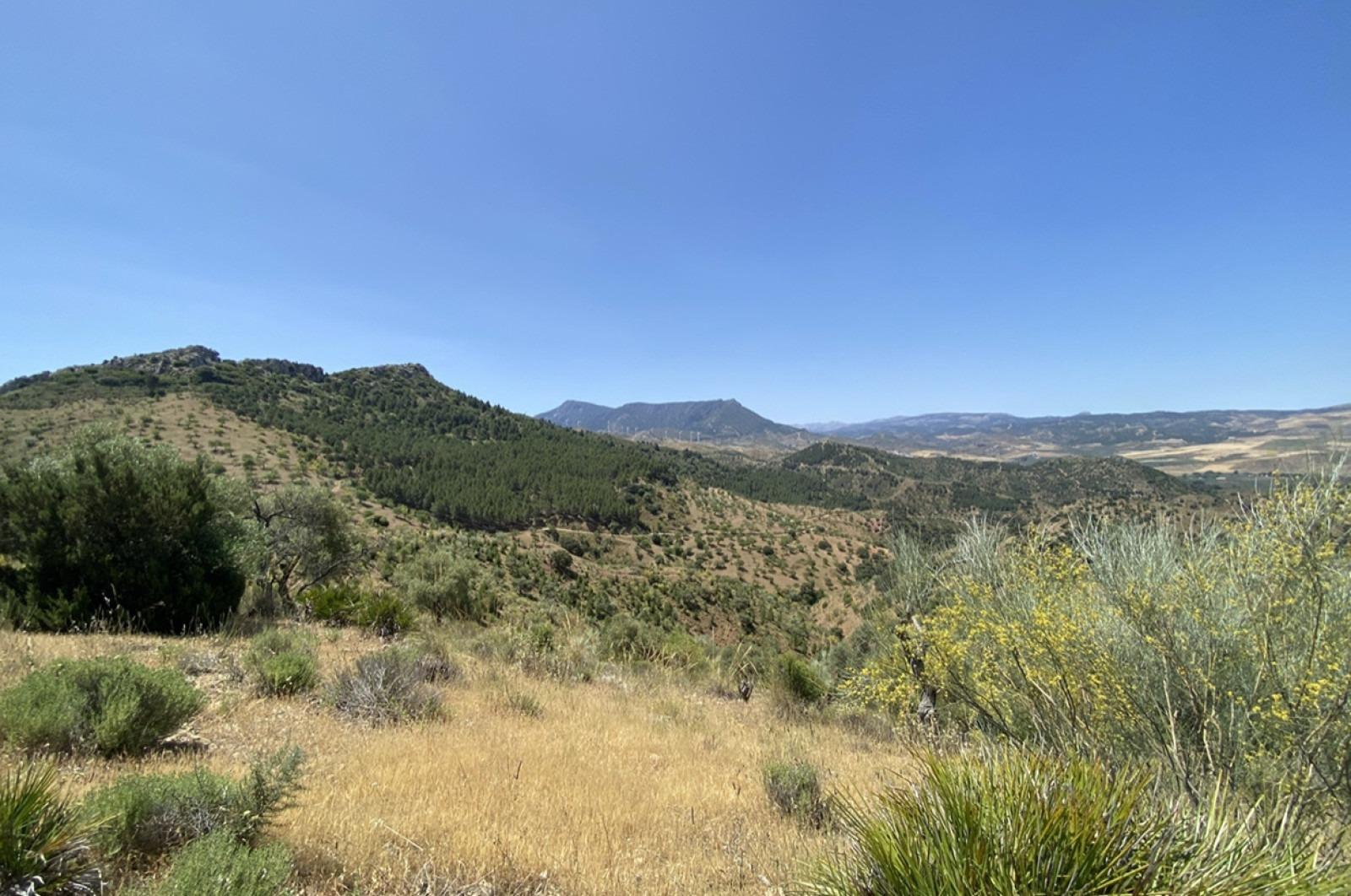 Fincas y solares-Venta-Ardales-1139214-Foto-38