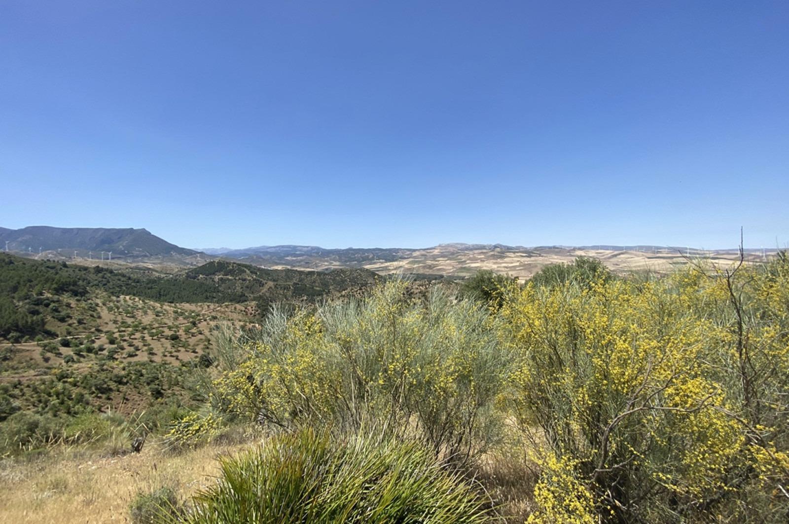 Fincas y solares-Venta-Ardales-1139214-Foto-39