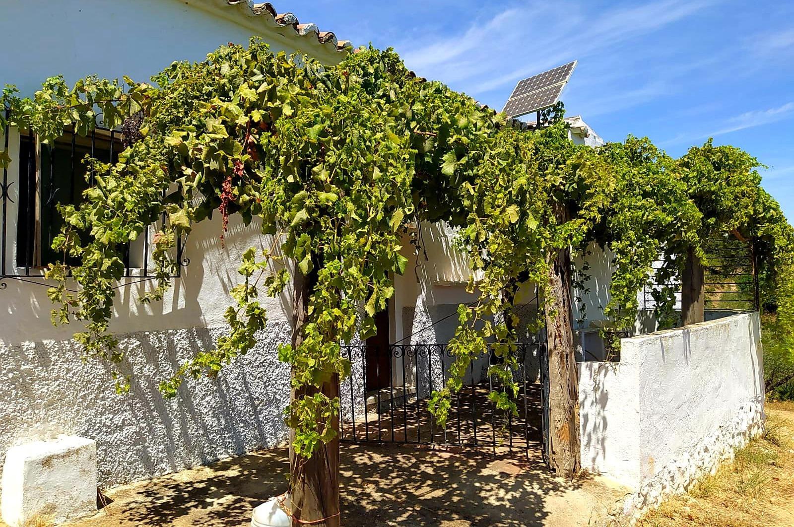 Fincas y solares-Venta-Ardales-1139214-Foto-48
