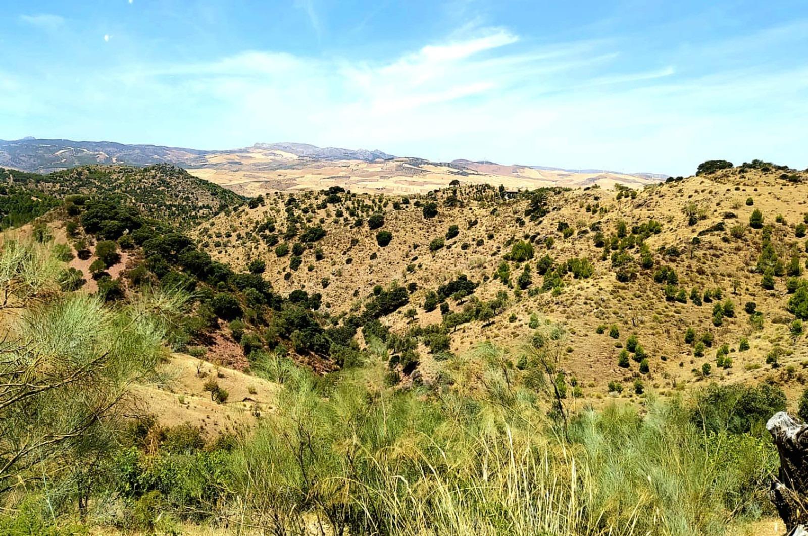 Fincas y solares-Venta-Ardales-1139214-Foto-47