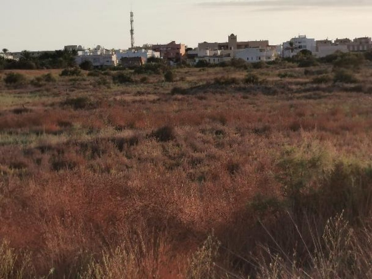 Fincas y solares-Venta-Cabo de Gata-1233241-Foto-11