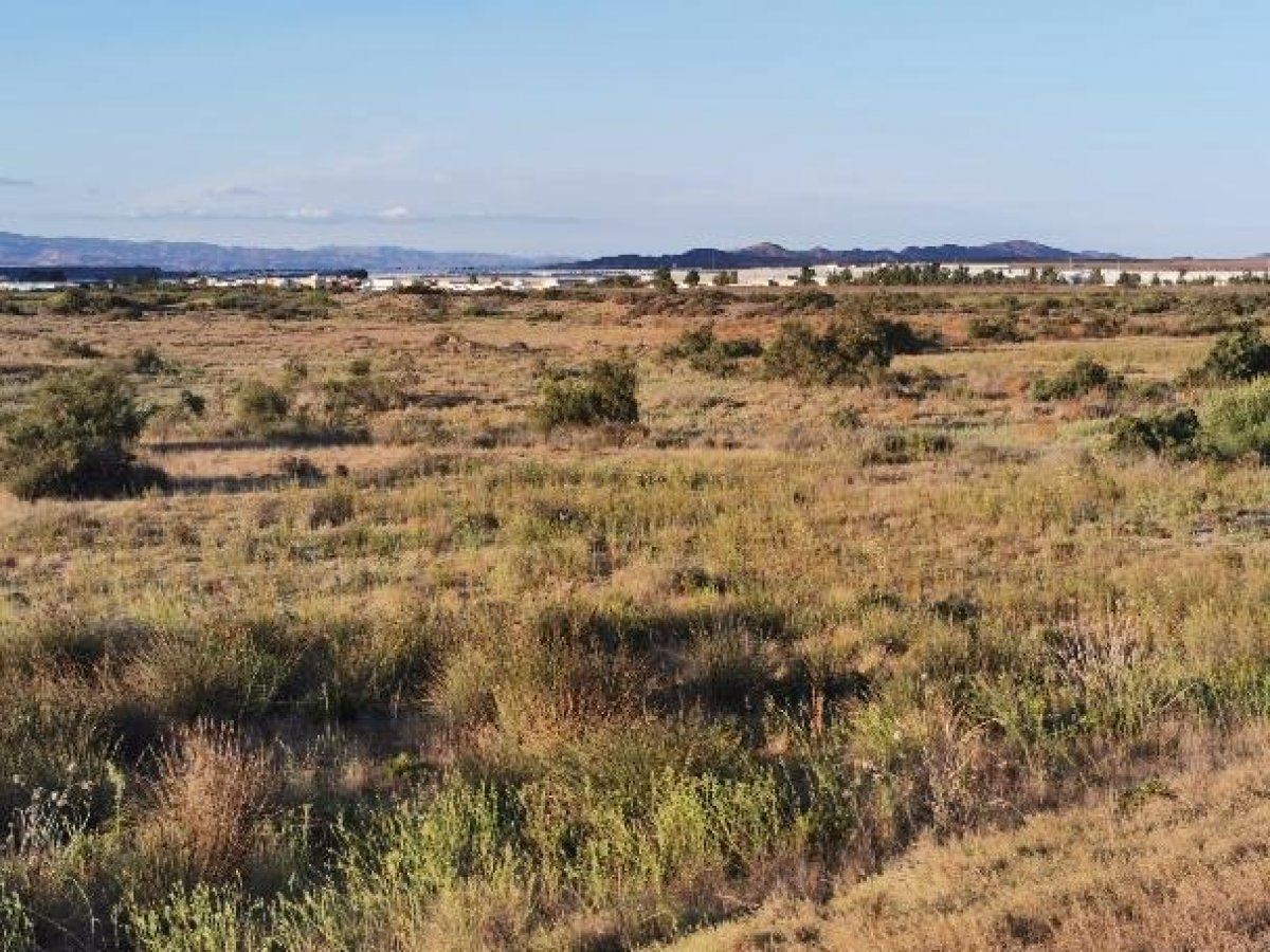 Fincas y solares-Venta-Cabo de Gata-1233241