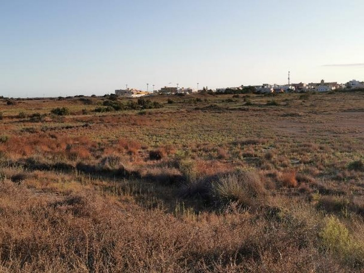 Fincas y solares-Venta-Cabo de Gata-1233241-Foto-13