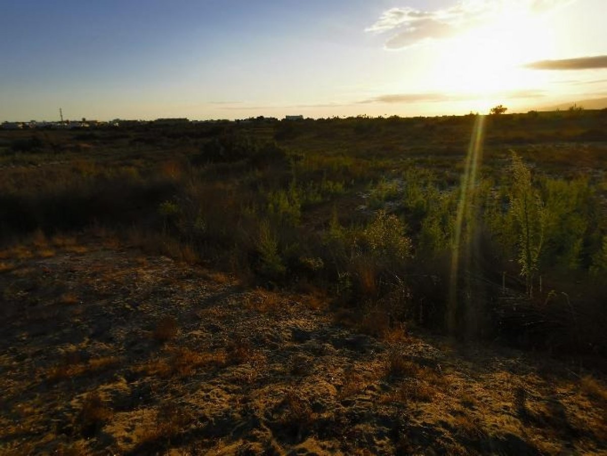 Fincas y solares-Venta-Cabo de Gata-1233241-Foto-12