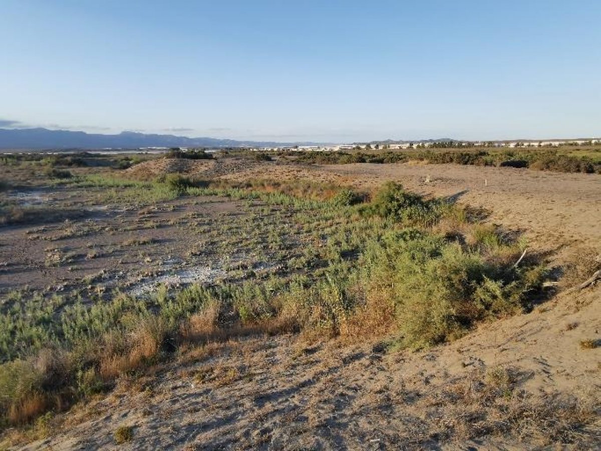 Fincas y solares-Venta-Cabo de Gata-1233241-Foto-8