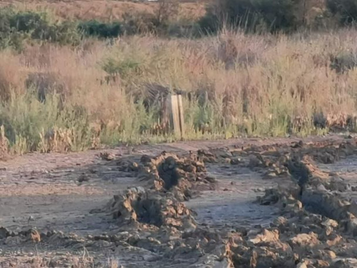 Fincas y solares-Venta-Cabo de Gata-1233241-Foto-15
