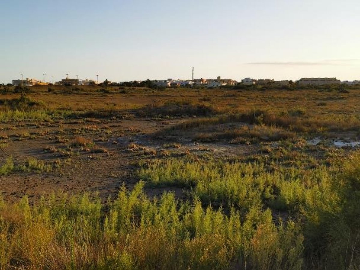 Fincas y solares-Venta-Cabo de Gata-1233241-Foto-14