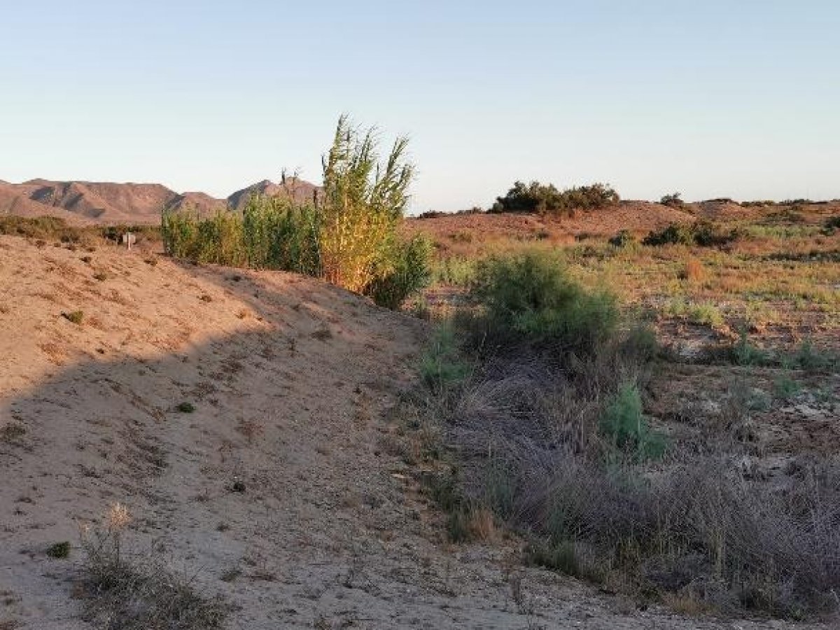 Fincas y solares-Venta-Cabo de Gata-1233241-Foto-21