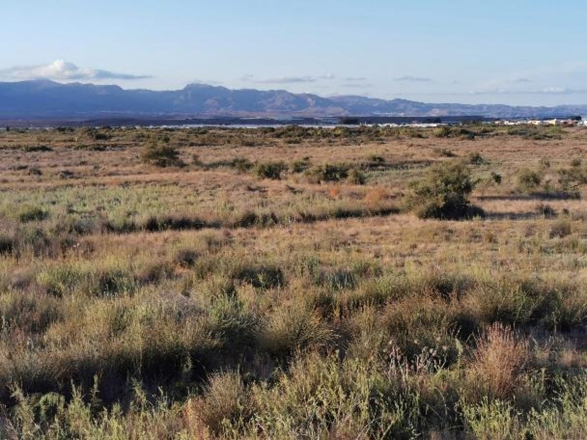 Fincas y solares-Venta-Cabo de Gata-1233241-Foto-20