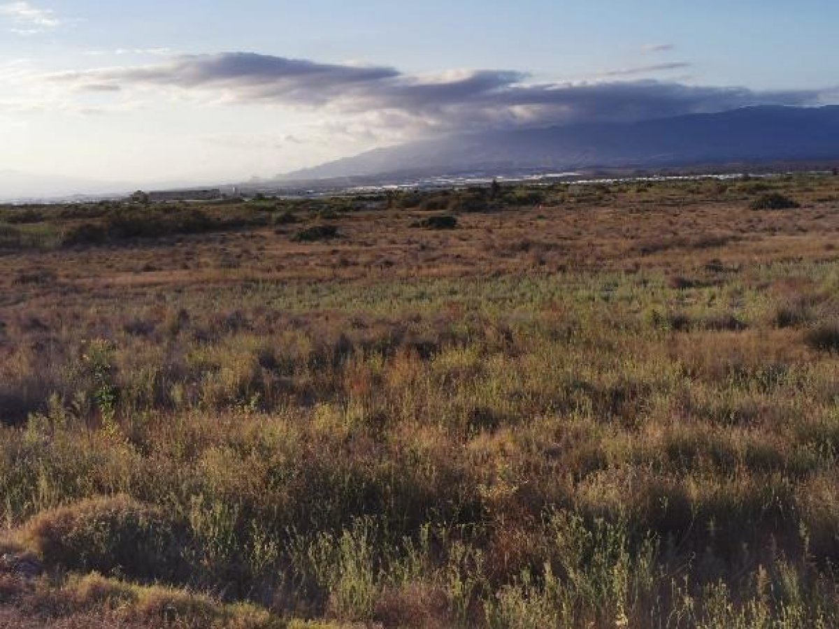 Fincas y solares-Venta-Cabo de Gata-1233241-Foto-25