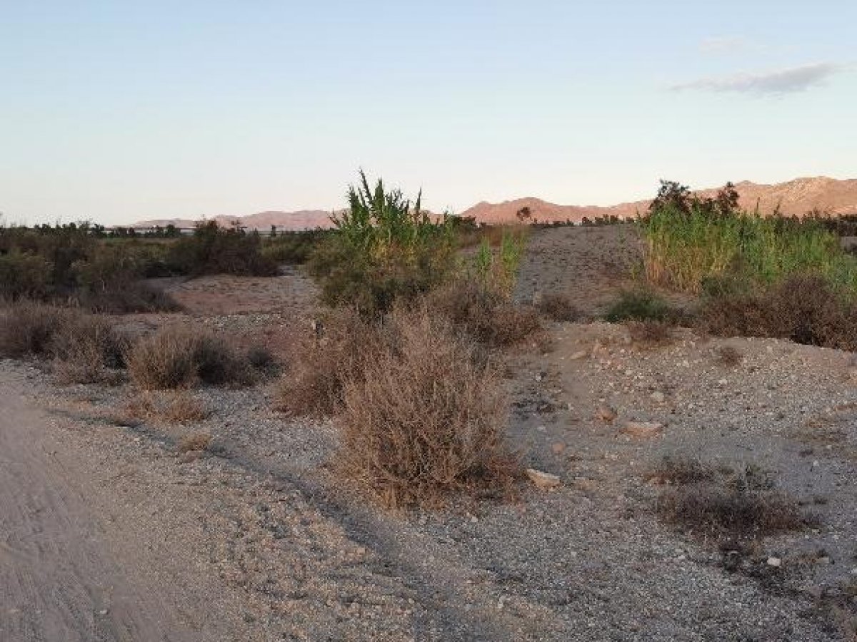 Fincas y solares-Venta-Cabo de Gata-1233241-Foto-31