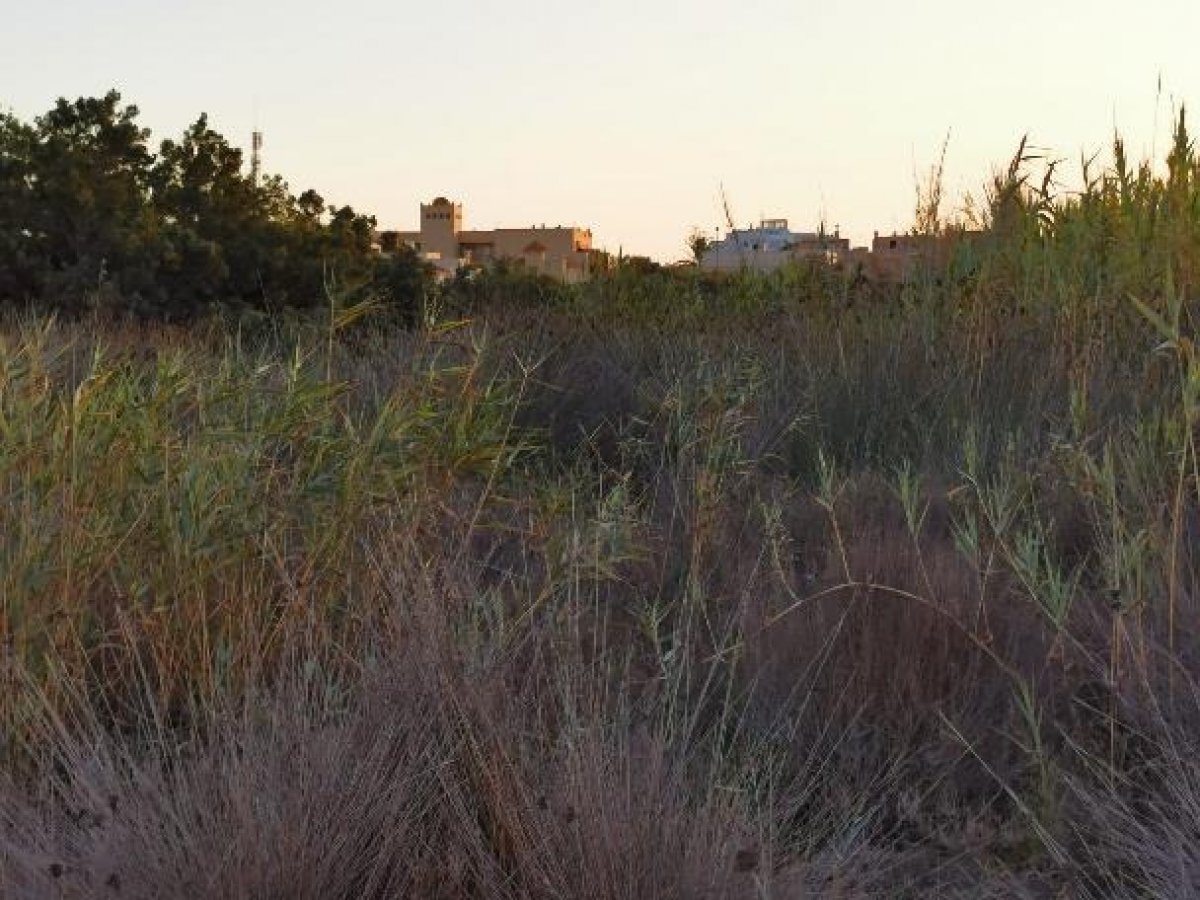 Fincas y solares-Venta-Cabo de Gata-1233241-Foto-32
